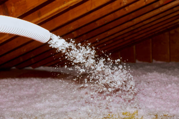 Best Commercial Insulation Services  in Satellite Beach, FL