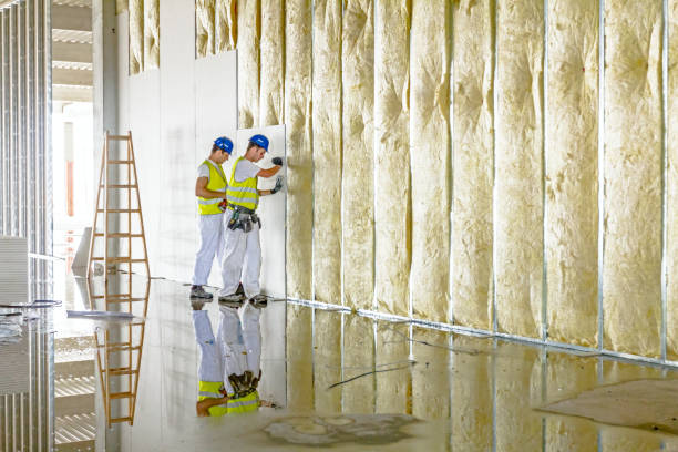 Best Attic Insulation Installation  in Satellite Beach, FL